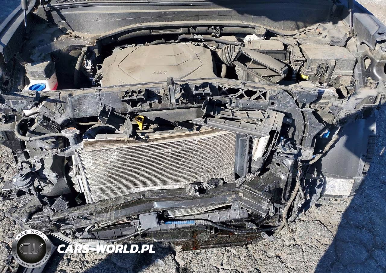 2021 Hyundai Palisade Sel VIN:KM8R44HE8MU316811 - 12