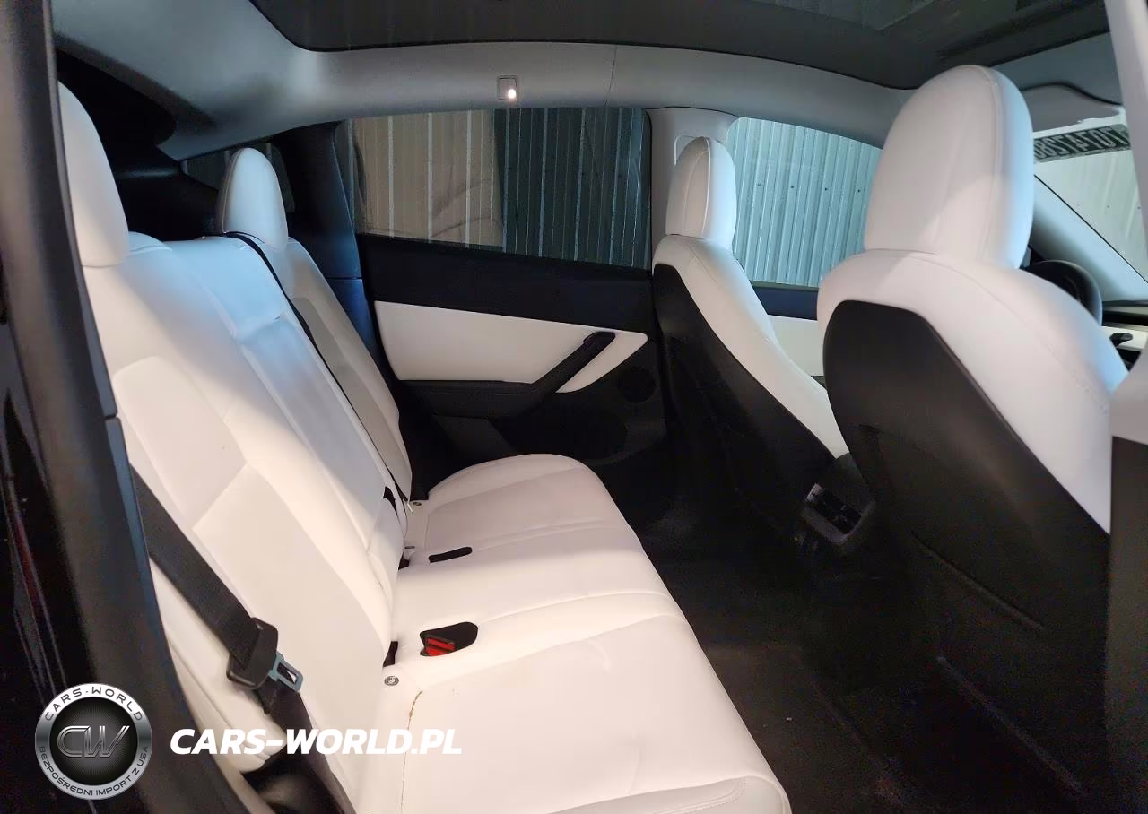 2022 Tesla Model Y VIN:7SAYGDEF3NF509899 - 10