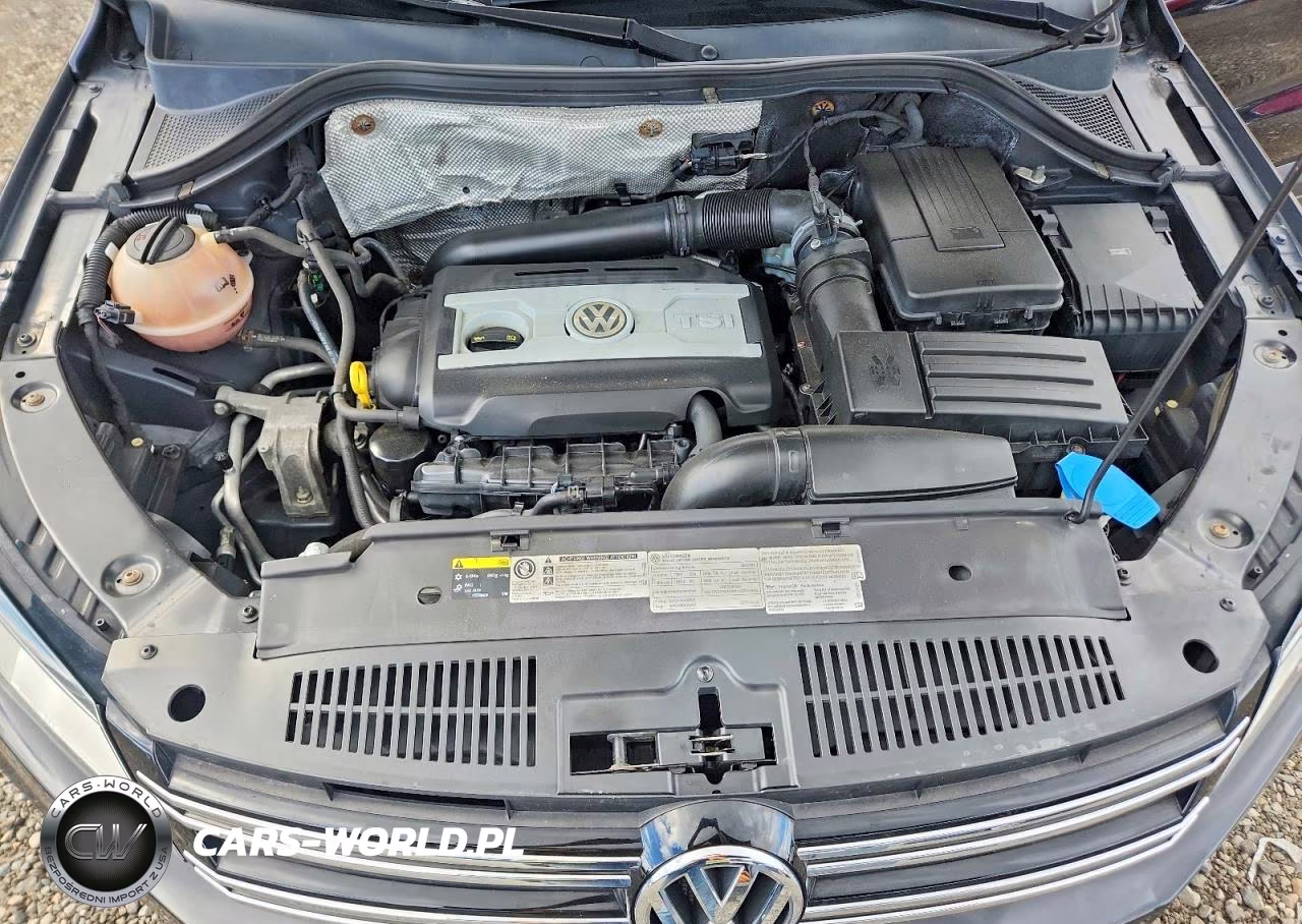 2016 Volkswagen Tiguan S VIN:WVGBV7AX8GW594242 - 12