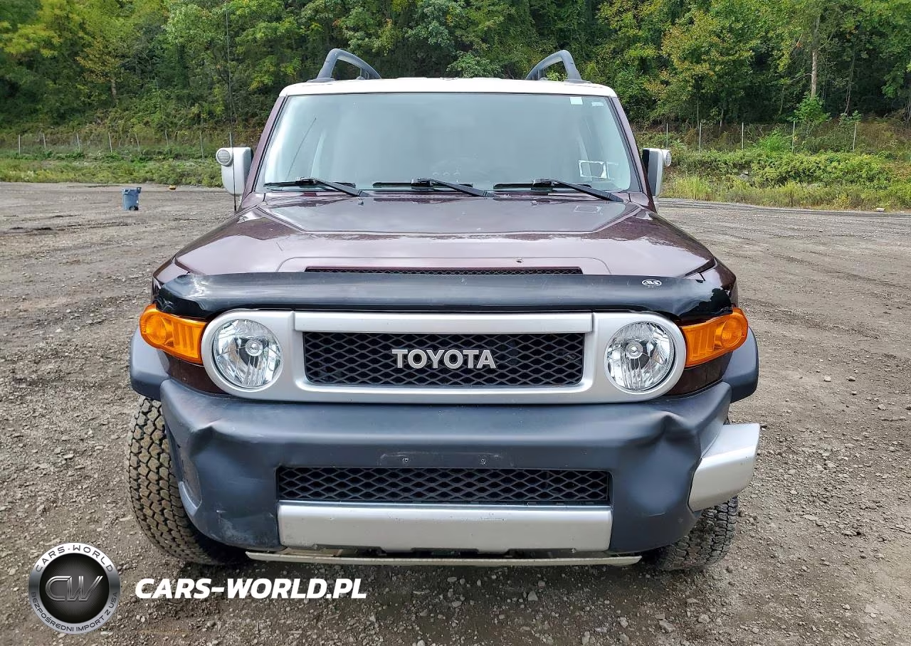 2007 Toyota Fj Cruiser Base VIN:JTEBU11F170026201 - 5