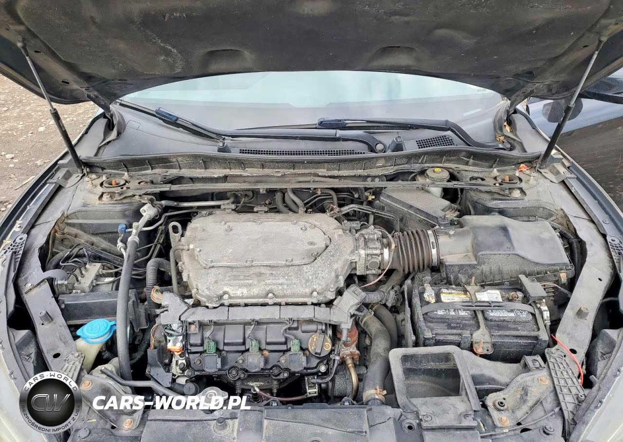 2014 Honda Accord Exl VIN:1HGCR3F82EA033859 - 11