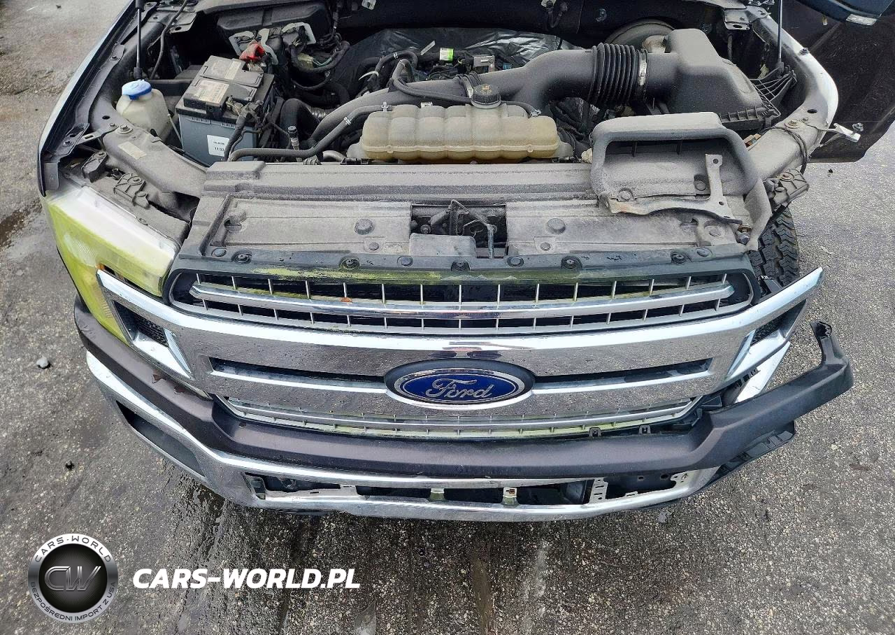 2019 Ford F150 Supercrew VIN:1FTEW1CP8KFA92834 - 11