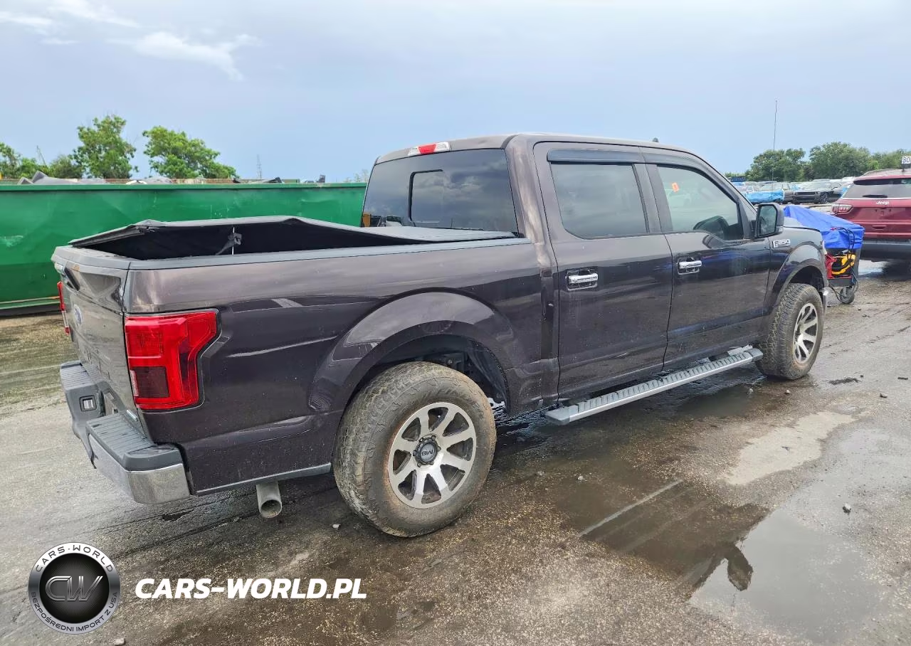 2019 Ford F150 Supercrew VIN:1FTEW1CP8KFA92834 - 3