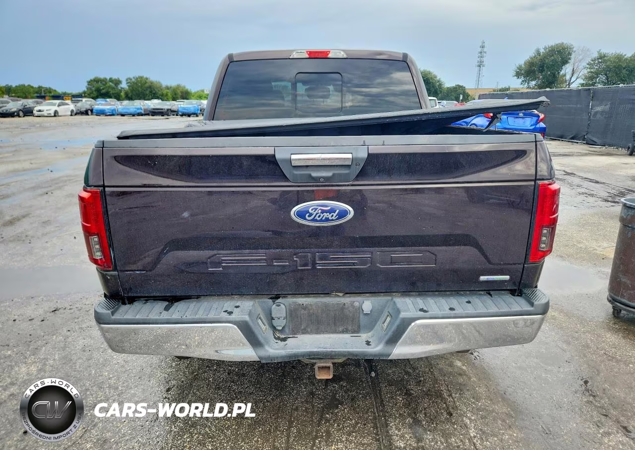2019 Ford F150 Supercrew VIN:1FTEW1CP8KFA92834 - 6