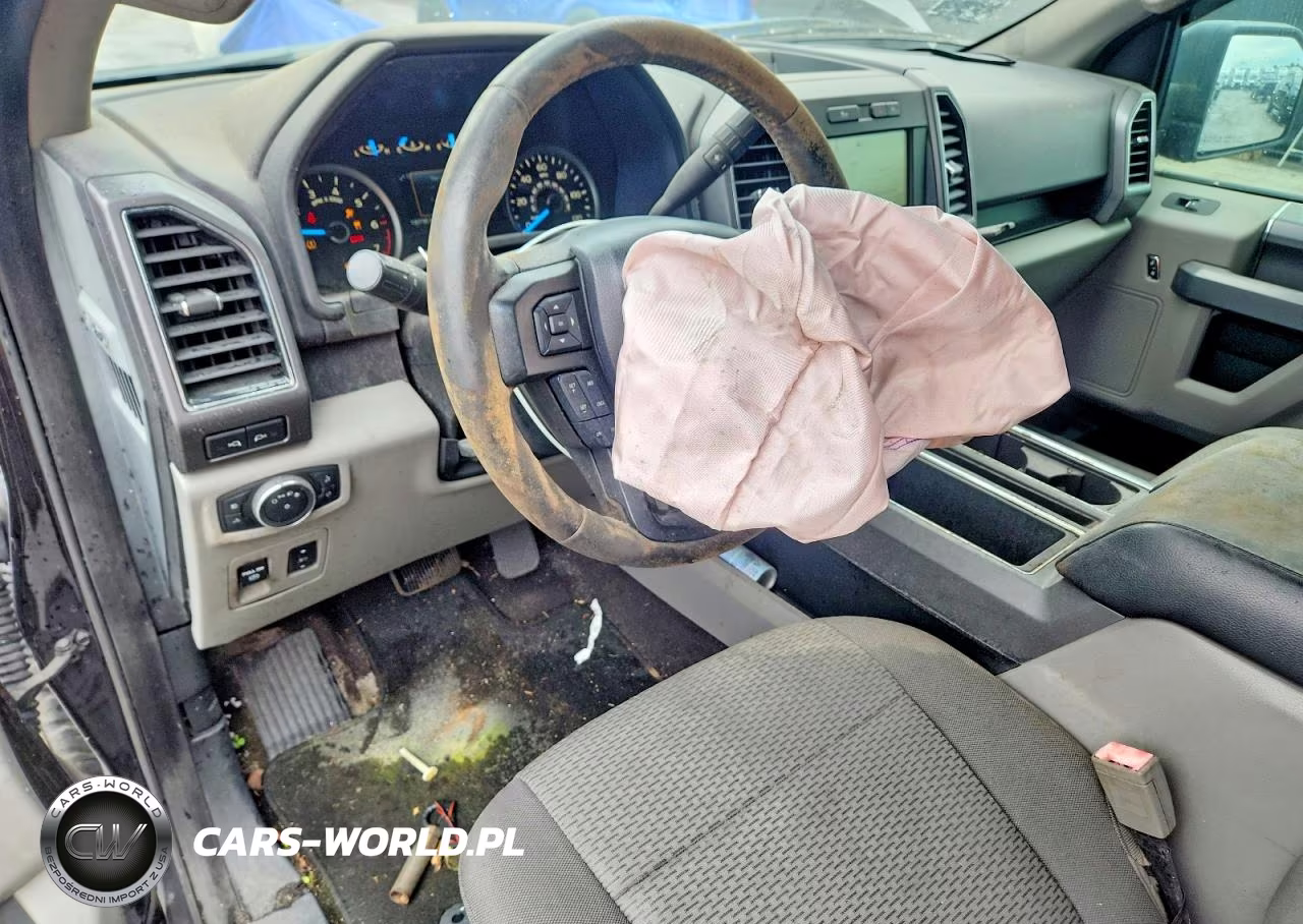 2019 Ford F150 Supercrew VIN:1FTEW1CP8KFA92834 - 8