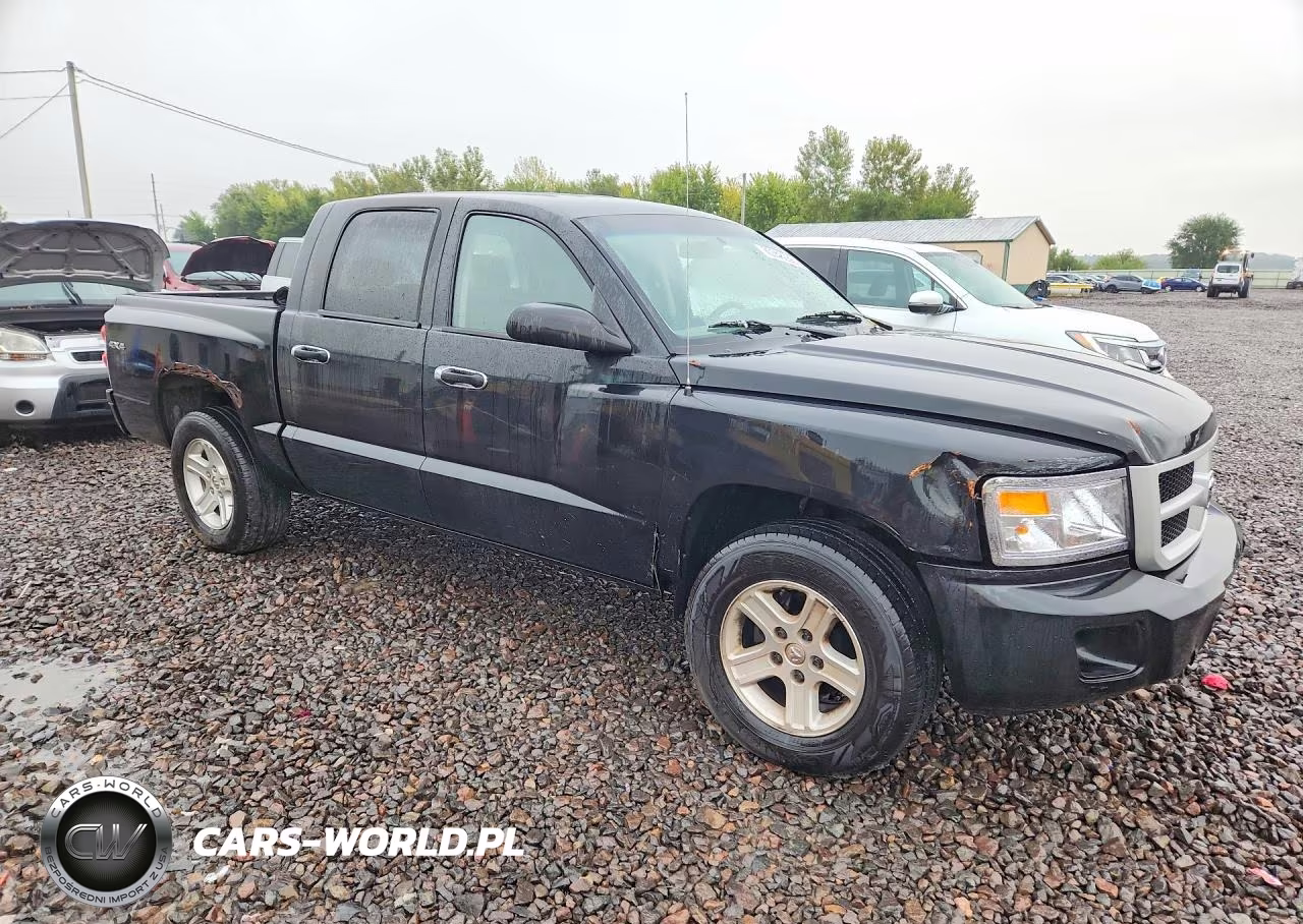 2011 Dodge Dakota Slt VIN:1D7RW3GK6BS521350 - 4