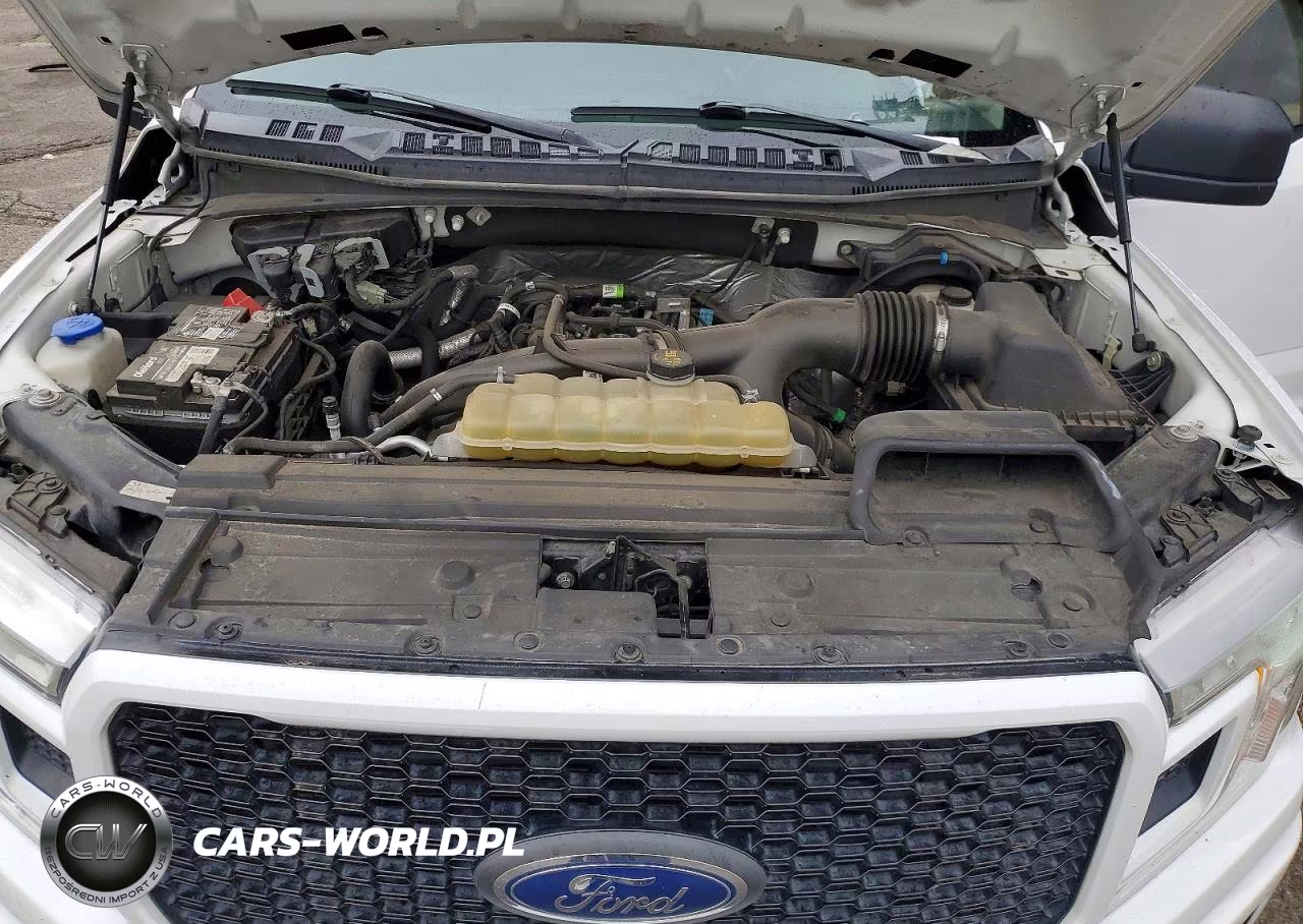 2020 Ford F150 Xl VIN:1FTEW1EP5LKD09682 - 11