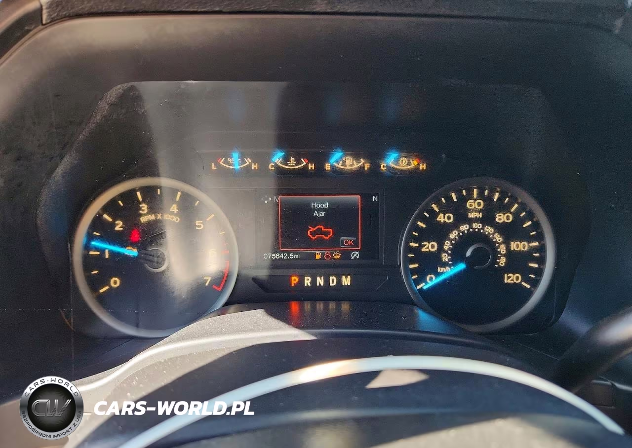 2019 Ford F150 Supercrew VIN:1FTEW1E56KFA21305 - 9