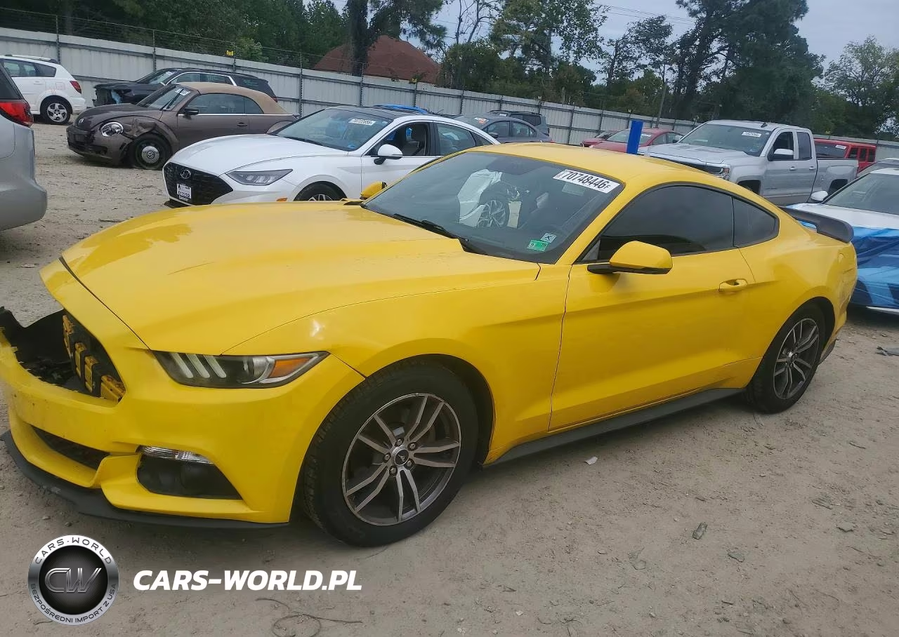 FORD MUSTANG VIN:1FA6P8TH3F5344476 - 1