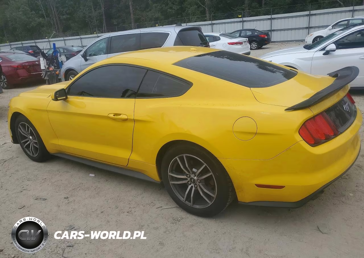 FORD MUSTANG VIN:1FA6P8TH3F5344476 - 2