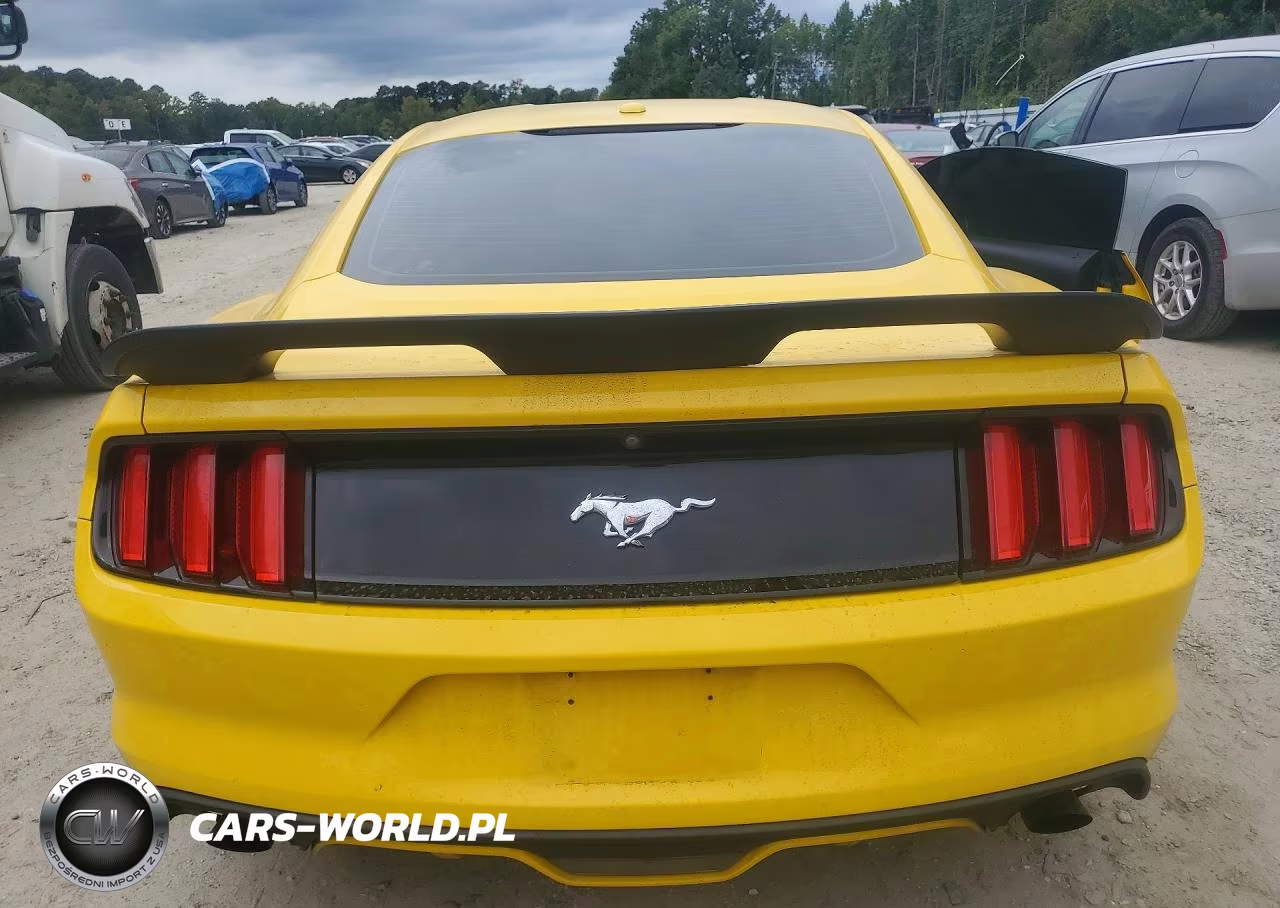 FORD MUSTANG VIN:1FA6P8TH3F5344476 - 6