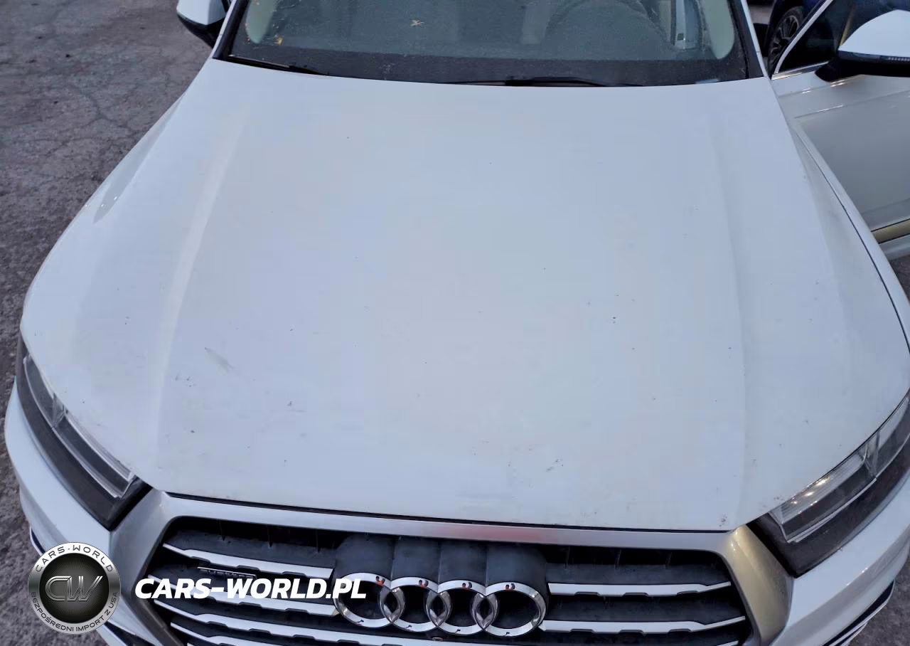 2017 Audi Q7 Premium Plus VIN:WA1LAAF73HD057053 - 12