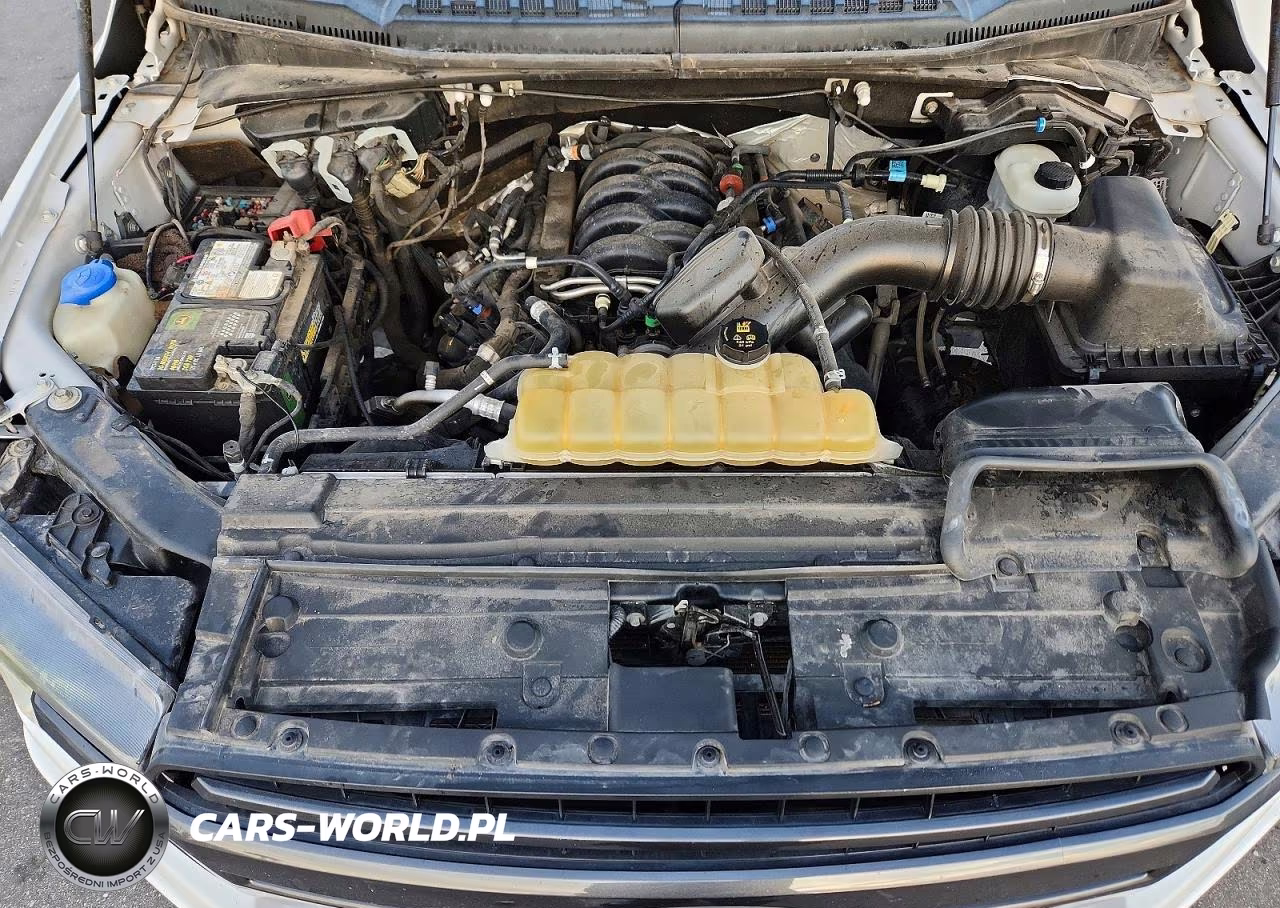 2019 Ford F150 Xlt VIN:1FTFW1E50KFB97304 - 11