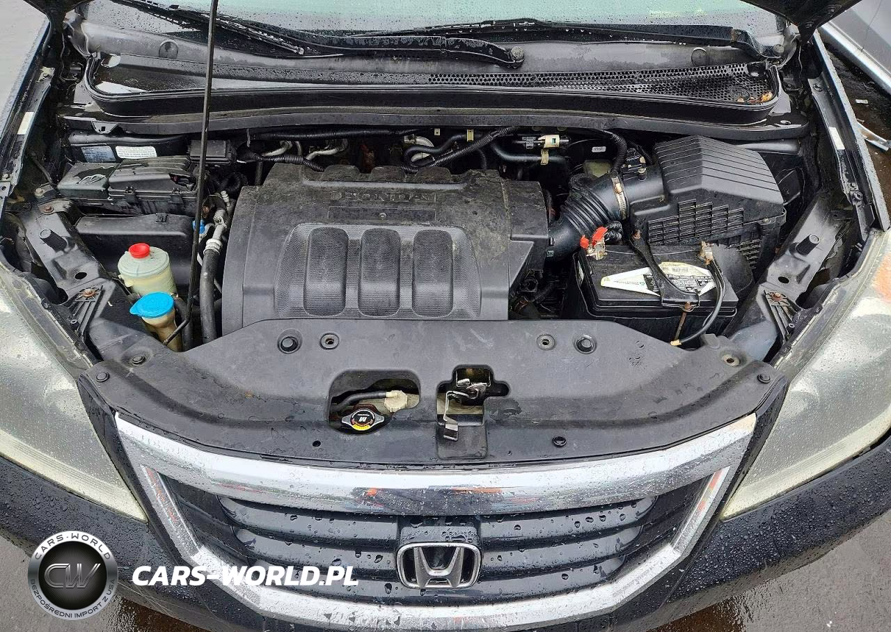 2009 Honda Odyssey Exl VIN:5FNRL386X9B005312 - 12