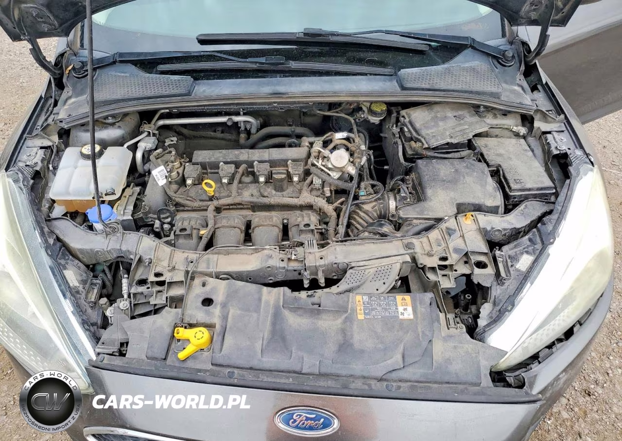 2016 Ford Focus S VIN:1FADP3E25GL369136 - 11