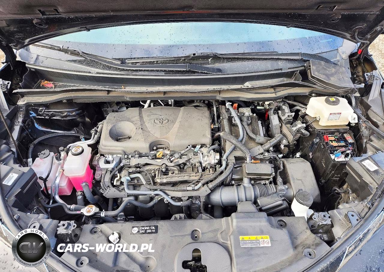 2024 Toyota Sienna Xle VIN:5TDYRKEC9RS184081 - 12