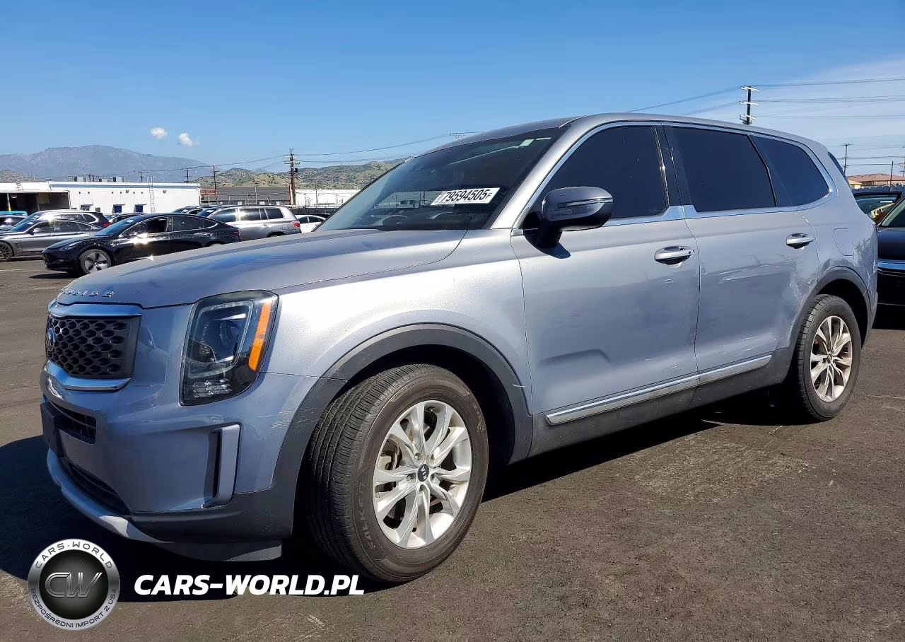 2020 Kia Telluride Lx VIN:5XYP24HC3LG026542 - 1