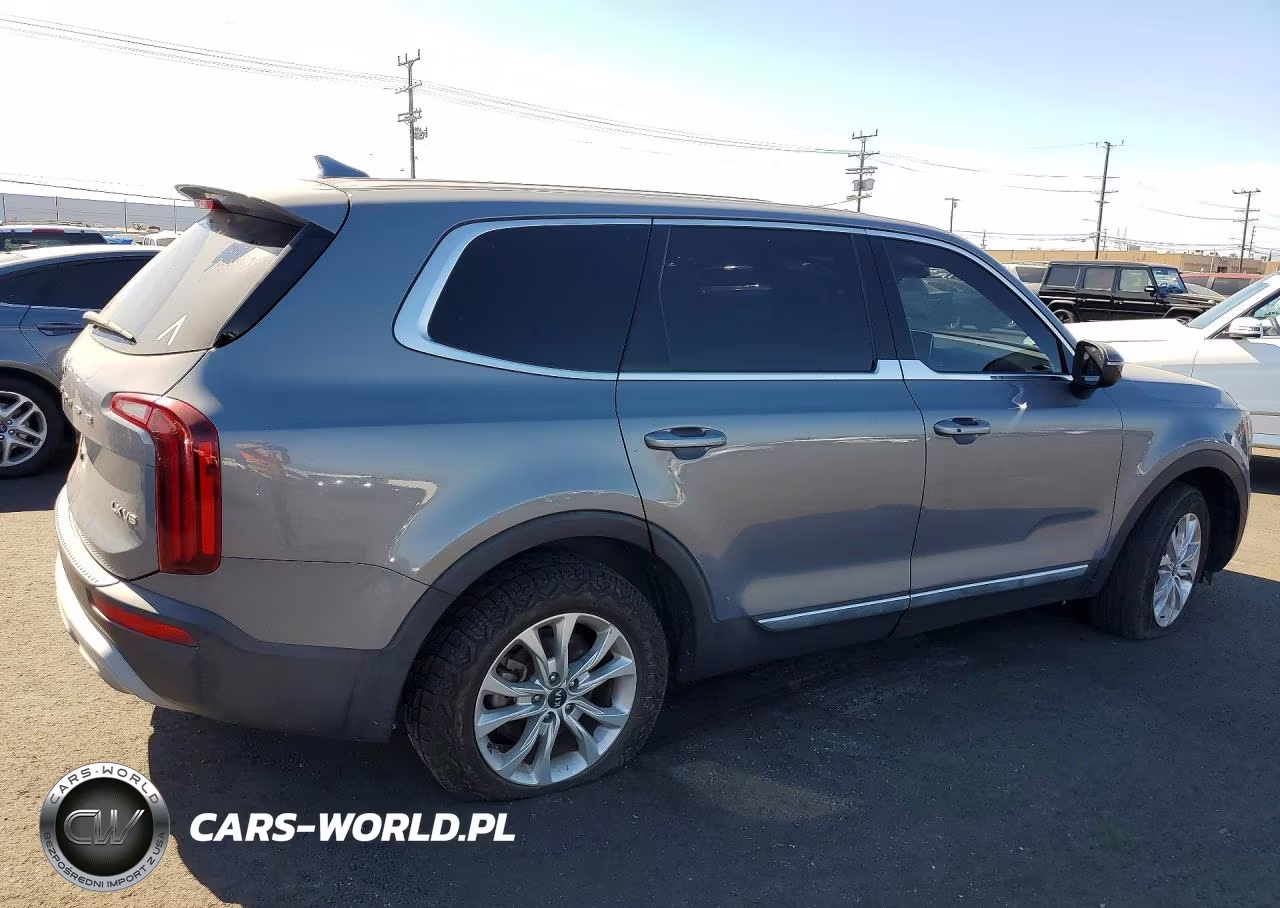 2020 Kia Telluride Lx VIN:5XYP24HC3LG026542 - 3