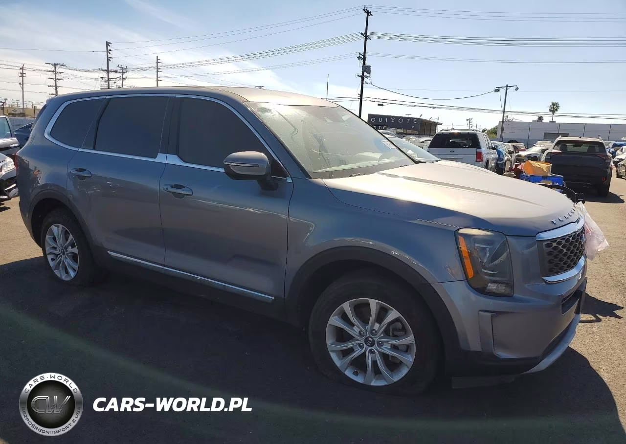 2020 Kia Telluride Lx VIN:5XYP24HC3LG026542 - 4