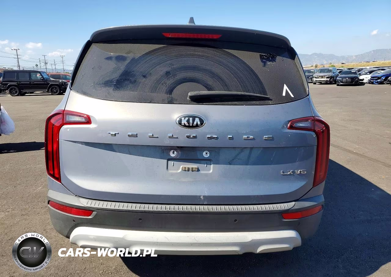 2020 Kia Telluride Lx VIN:5XYP24HC3LG026542 - 6