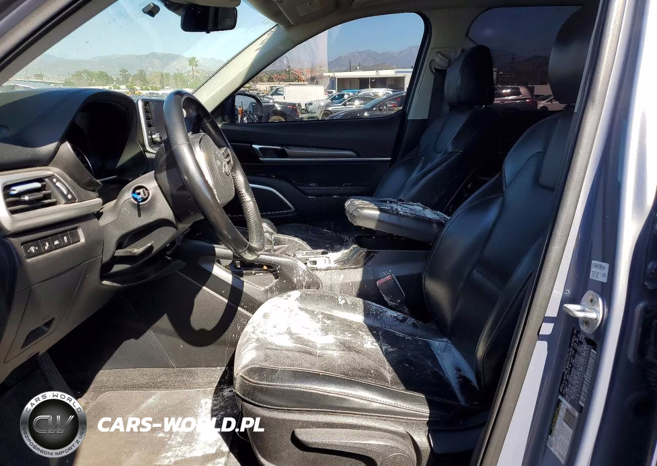 2020 Kia Telluride Lx VIN:5XYP24HC3LG026542 - 7