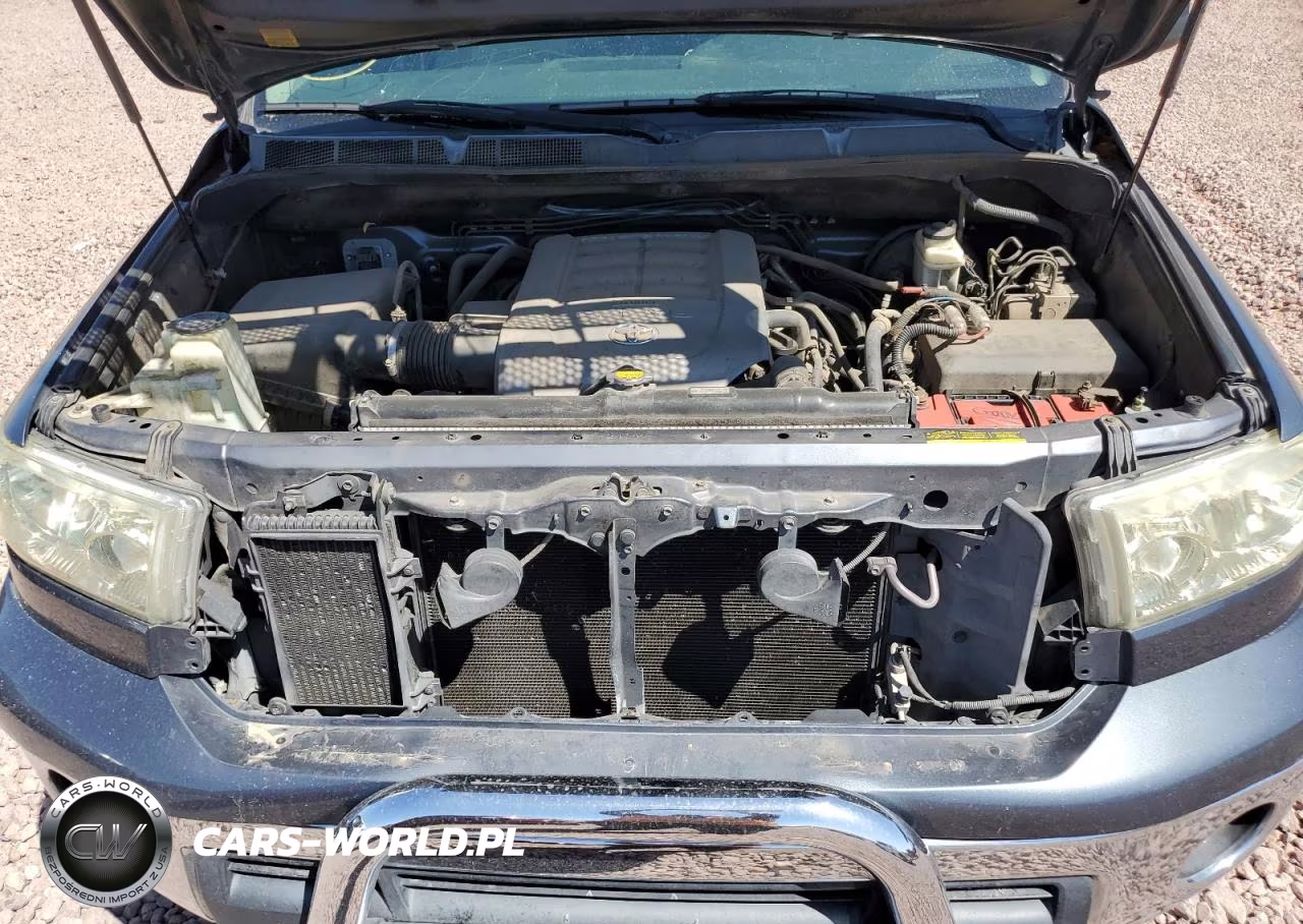 2010 Toyota Tundra Double Cab Sr5 VIN:5TFUY5F13AX118687 - 11