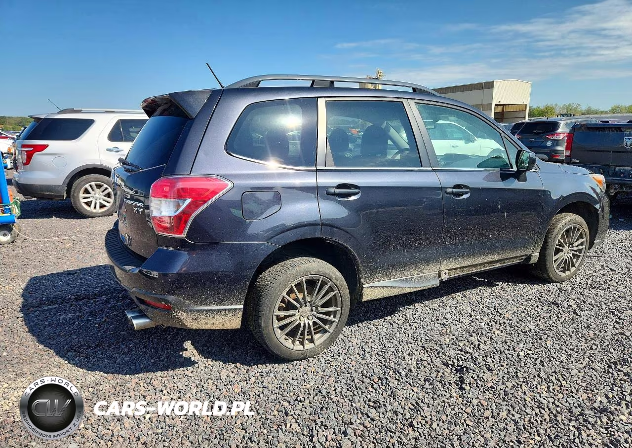 2015 Subaru Forester 2.0Xt Premium VIN:JF2SJGDC0FH804541 - 3