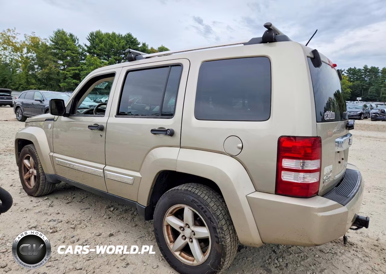 2010 Jeep Liberty Limited VIN:1J4PN5GK9AW165011 - 2