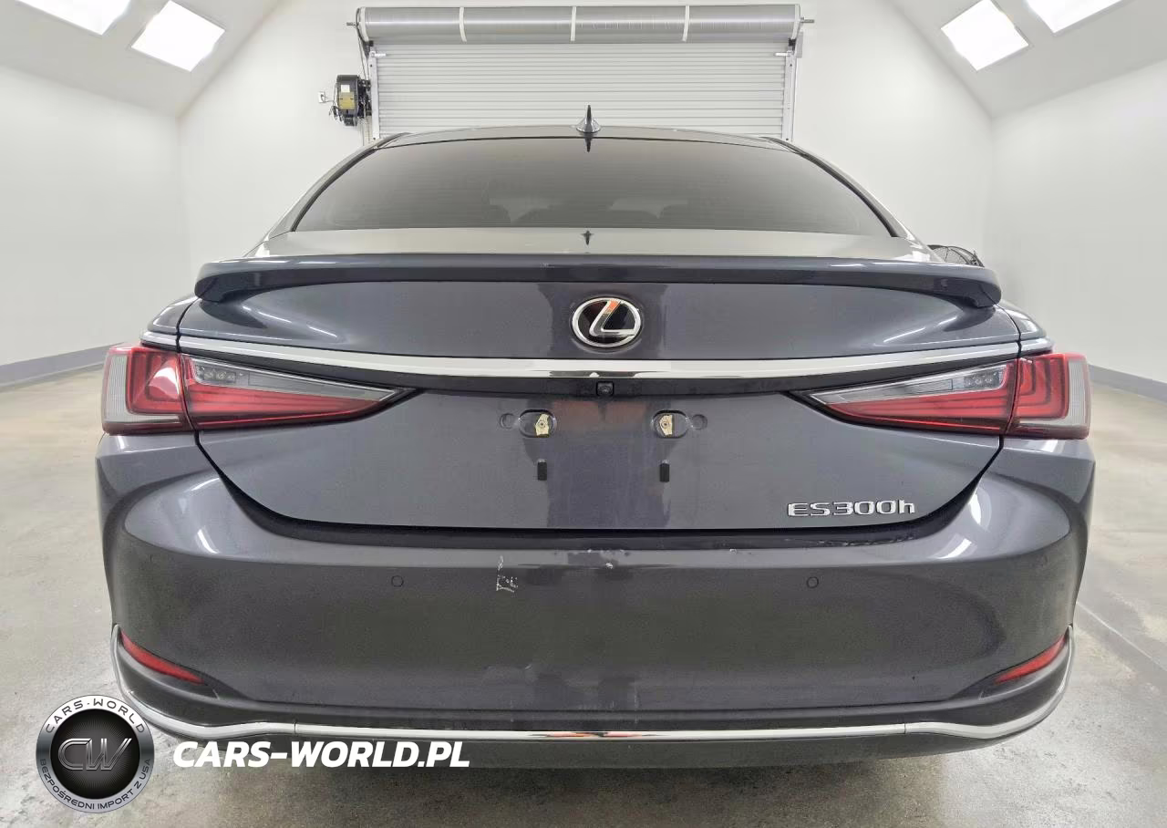 2023 Lexus Es 300H VIN:58ADA1C15PU030336 - 6