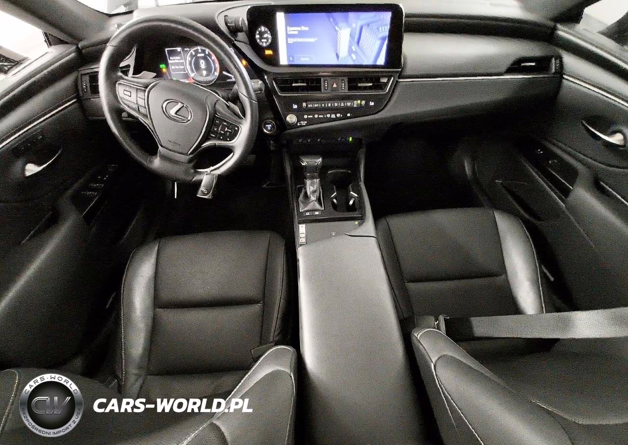 2023 Lexus Es 300H VIN:58ADA1C15PU030336 - 8