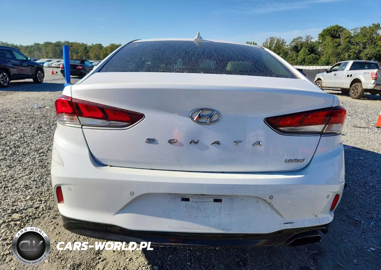 2018 Hyundai Sonata Limited VIN:5NPE34AF1JH684813 - 6