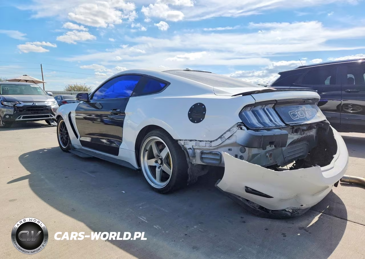 2019 Ford Mustang Gt VIN:1FA6P8CF8K5151670 - 2