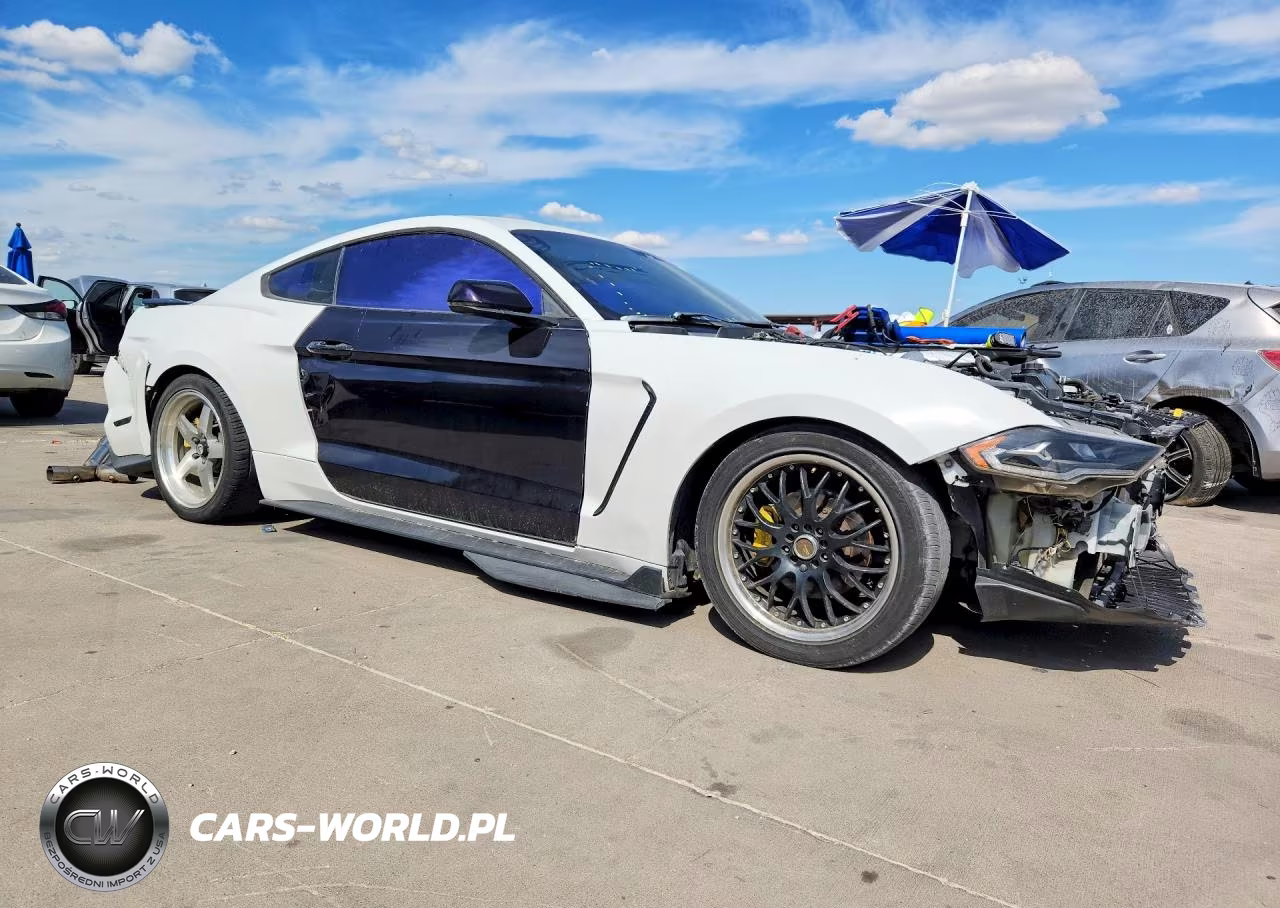2019 Ford Mustang Gt VIN:1FA6P8CF8K5151670 - 4