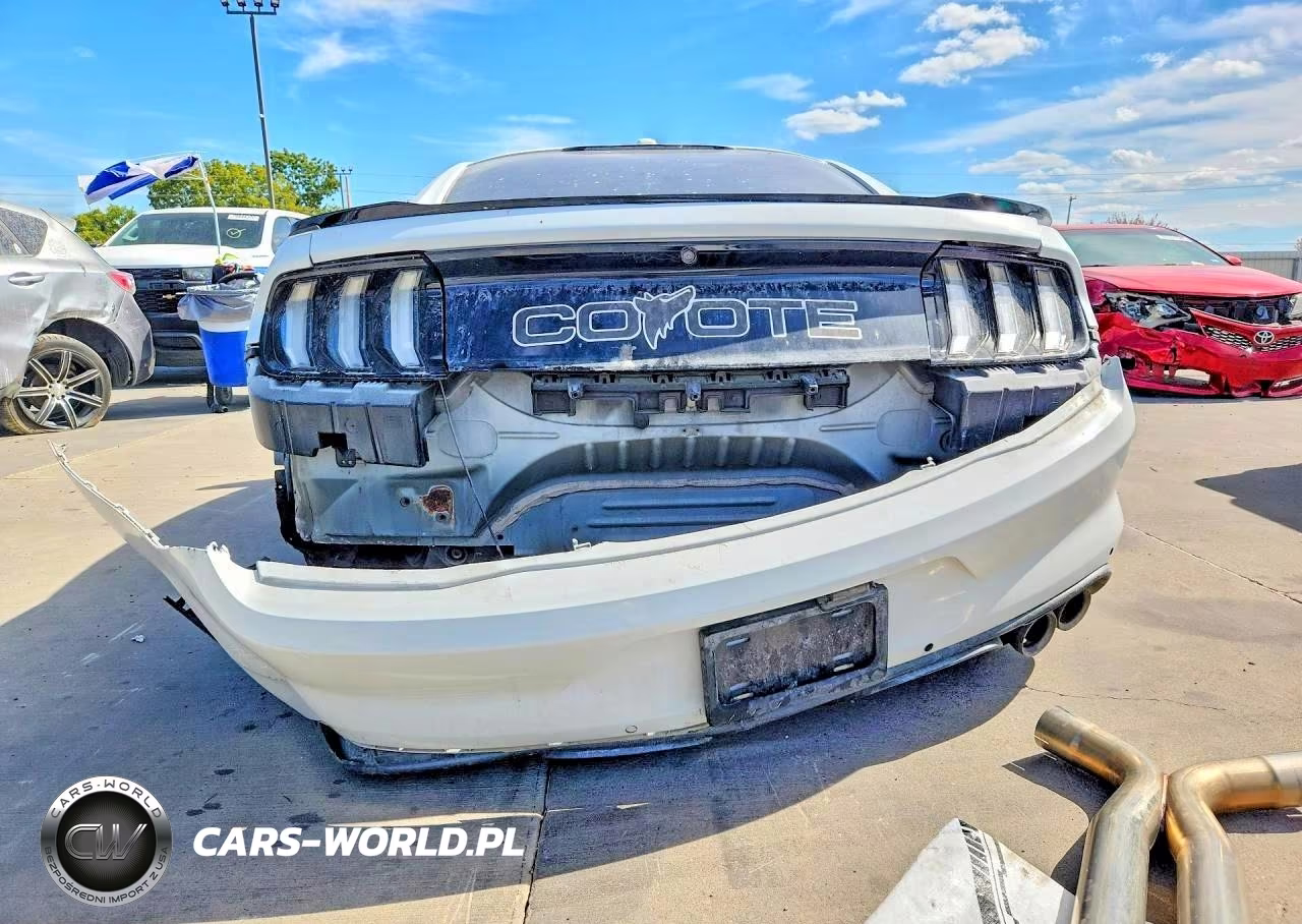 2019 Ford Mustang Gt VIN:1FA6P8CF8K5151670 - 6