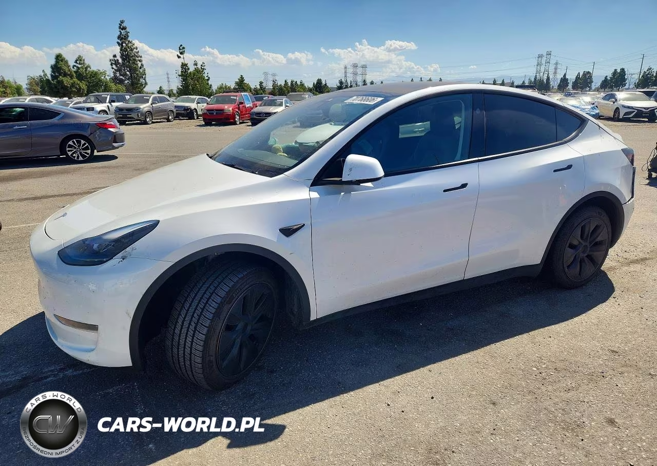 2024 Tesla Model Y VIN:7SAYGDEE8RF114582 - 1
