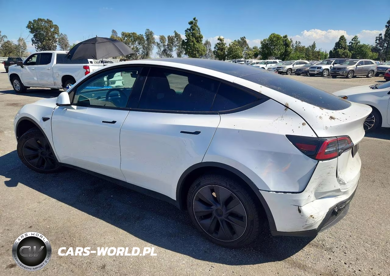 2024 Tesla Model Y VIN:7SAYGDEE8RF114582 - 2