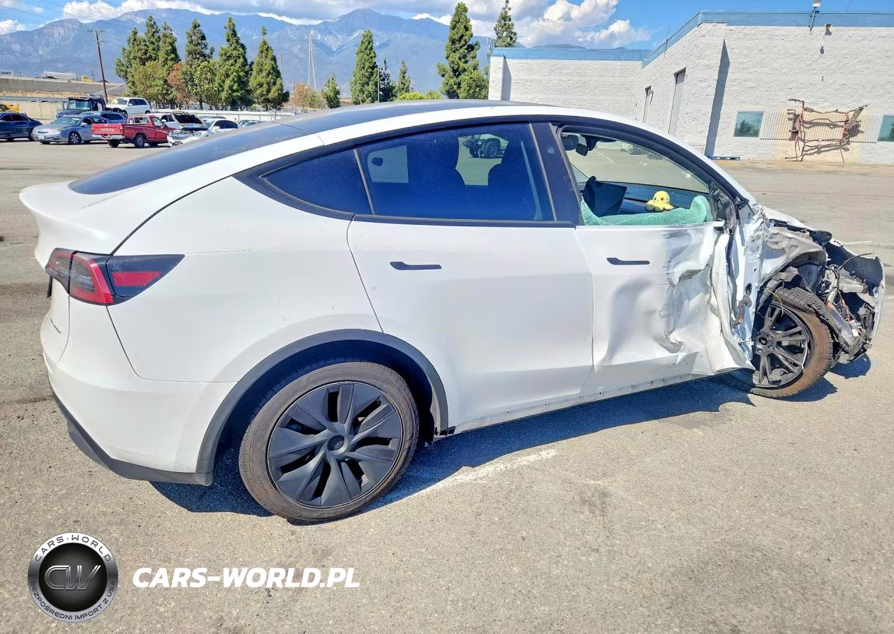 2024 Tesla Model Y VIN:7SAYGDEE8RF114582 - 3