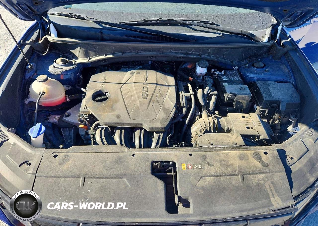 2024 Hyundai Tucson Sel VIN:5NMJB3DE3RH355070 - 12