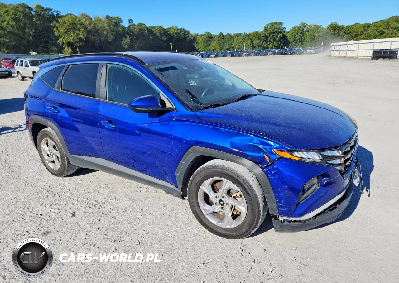 2024 Hyundai Tucson Sel VIN:5NMJB3DE3RH355070 - 4