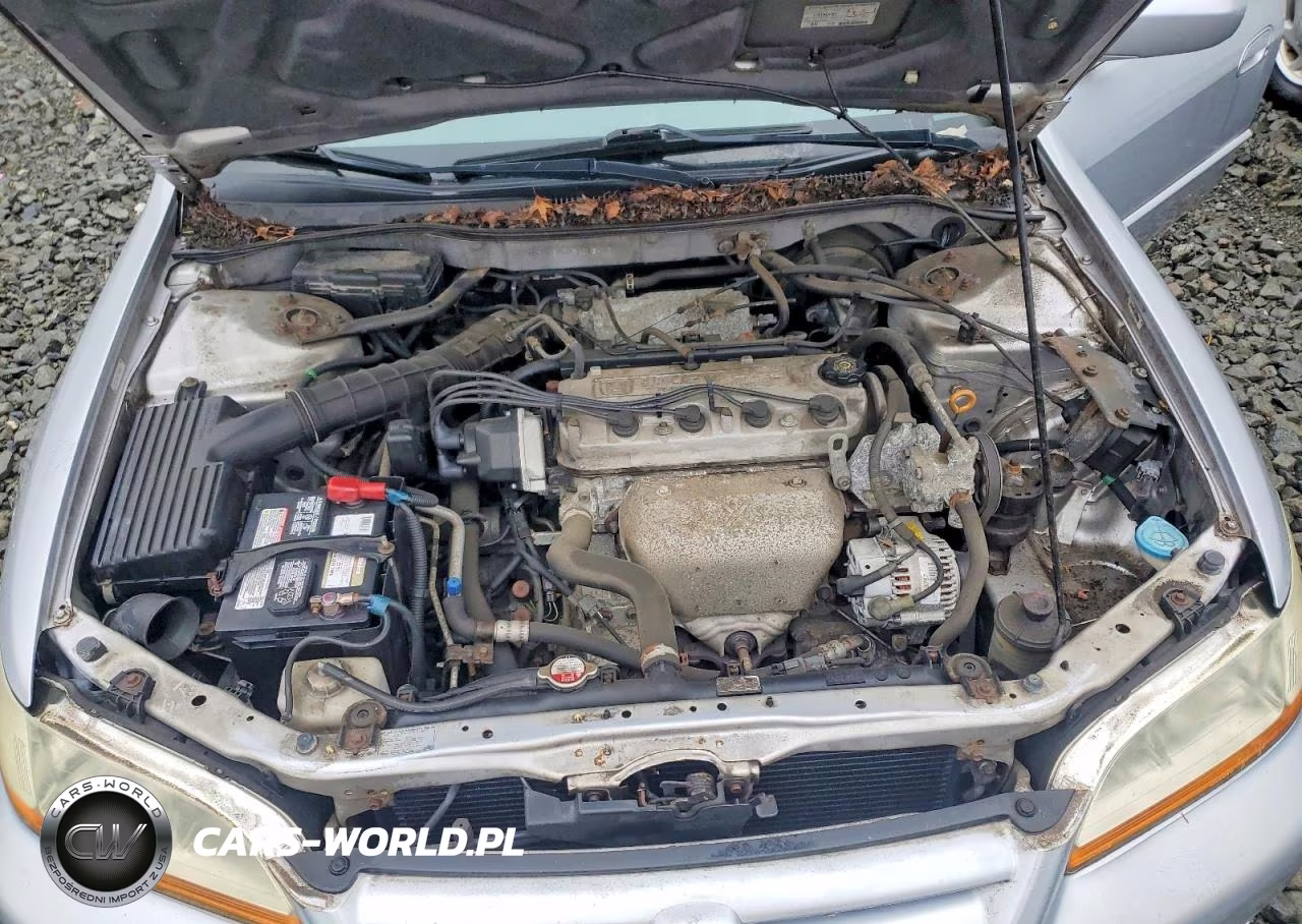 2002 Honda Accord Lx VIN:1HGCG66522A018416 - 11