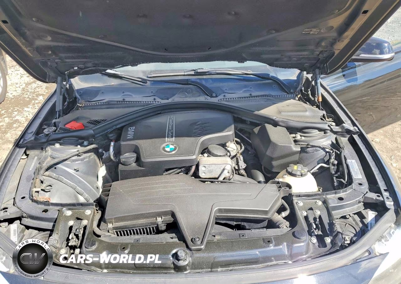 2014 BMW 320 I xDrive VIN:WBA3C3C59EP662734 - 11