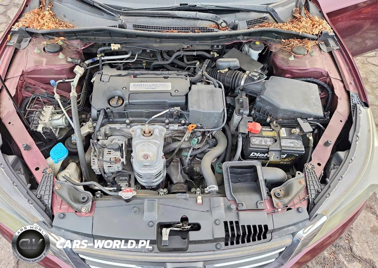 2014 Honda Accord Lx VIN:1HGCR2F30EA051534 - 11