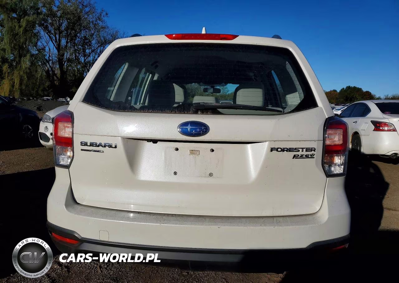 2017 Subaru Forester 2.5I VIN:JF2SJABC7HH478028 - 6