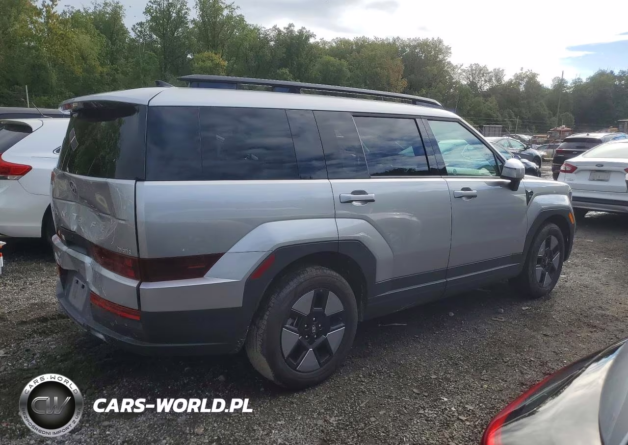 2025 Hyundai Santa Fe Sel VIN:5NMP24G19SH037100 - 3