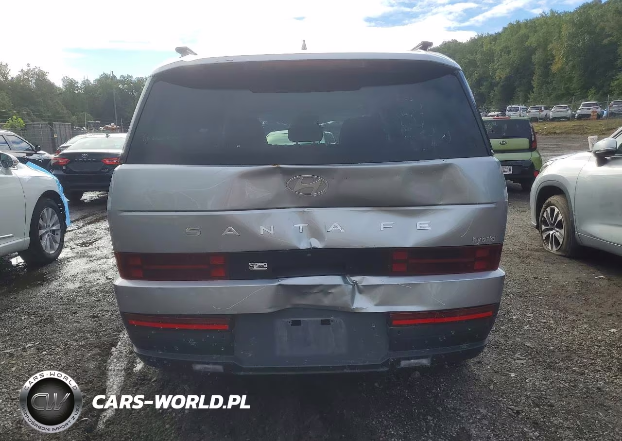 2025 Hyundai Santa Fe Sel VIN:5NMP24G19SH037100 - 6