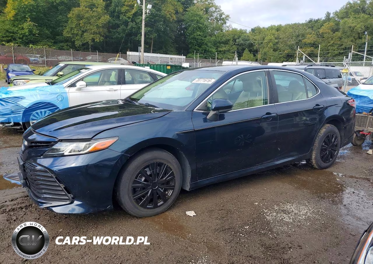 2019 Toyota Camry Le VIN:4T1B31HK2KU514757 - 1