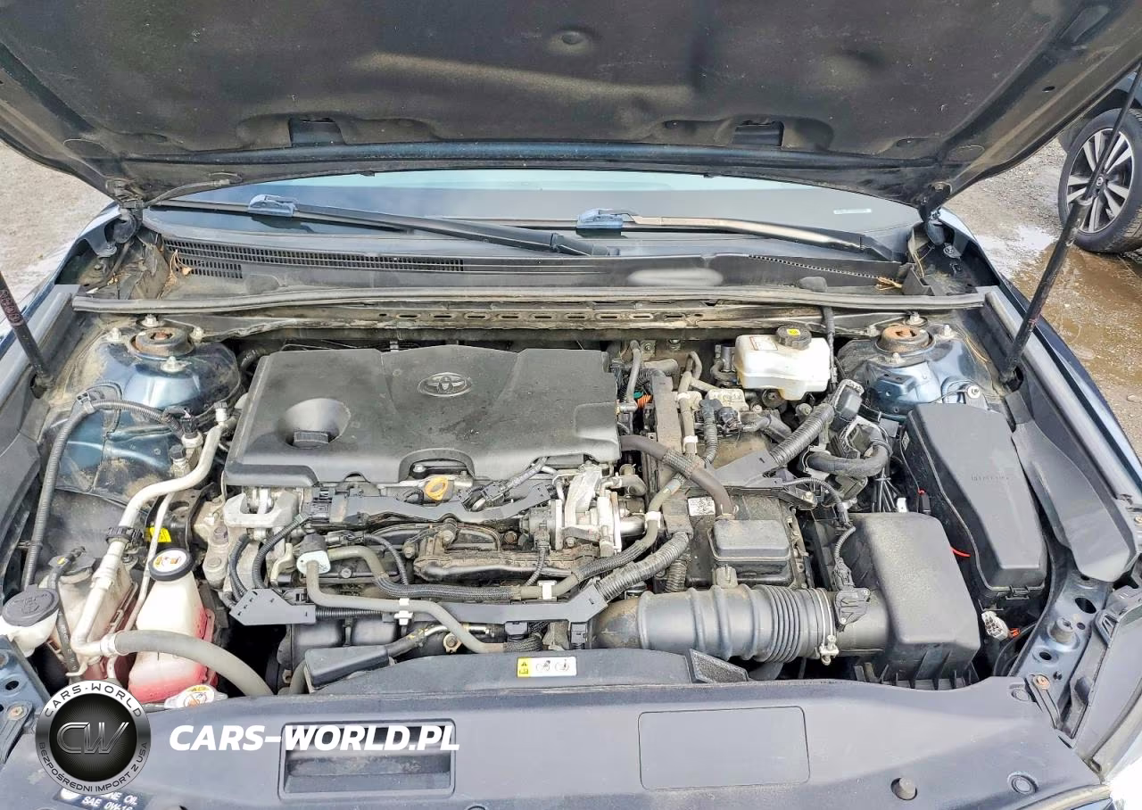 2019 Toyota Camry Le VIN:4T1B31HK2KU514757 - 11