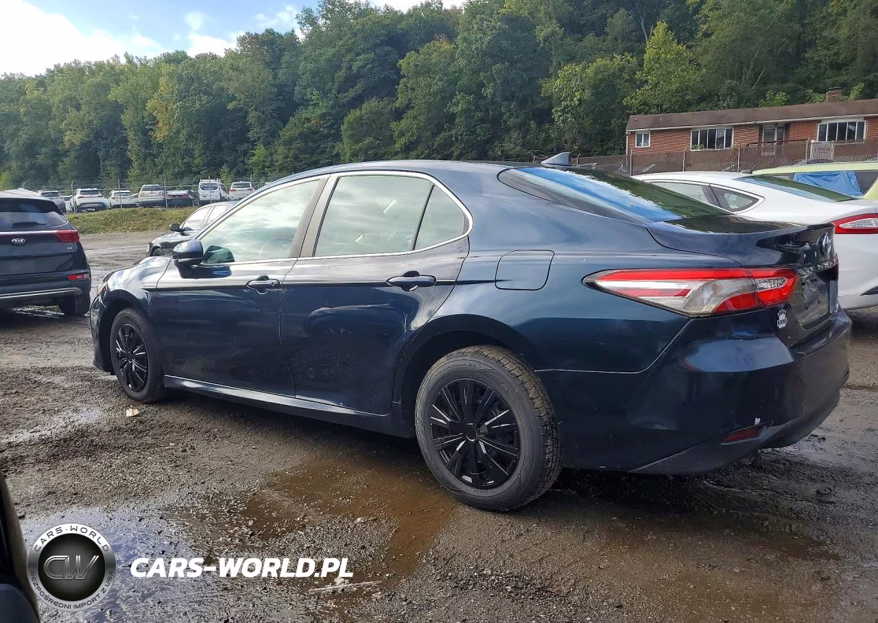2019 Toyota Camry Le VIN:4T1B31HK2KU514757 - 2