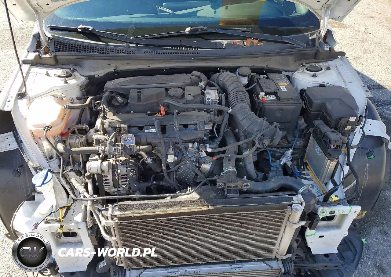 2021 Hyundai Elantra N Line VIN:KMHLR4AF7MU180665 - 11