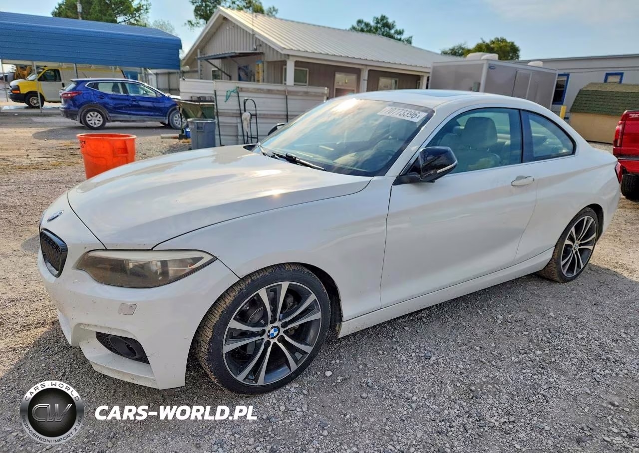 2014 BMW 228 I VIN:WBA1F5C59EV256068 - 1
